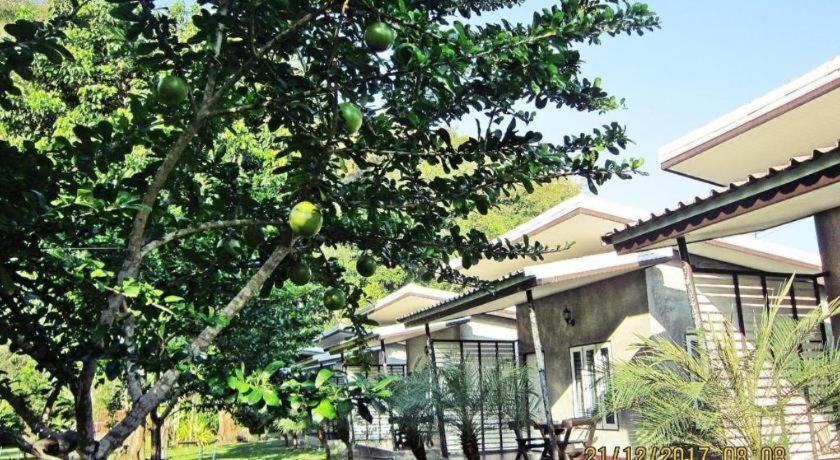 V Valley Resort Сатун Экстерьер фото